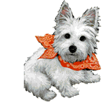 hond animéiert-biller-gif